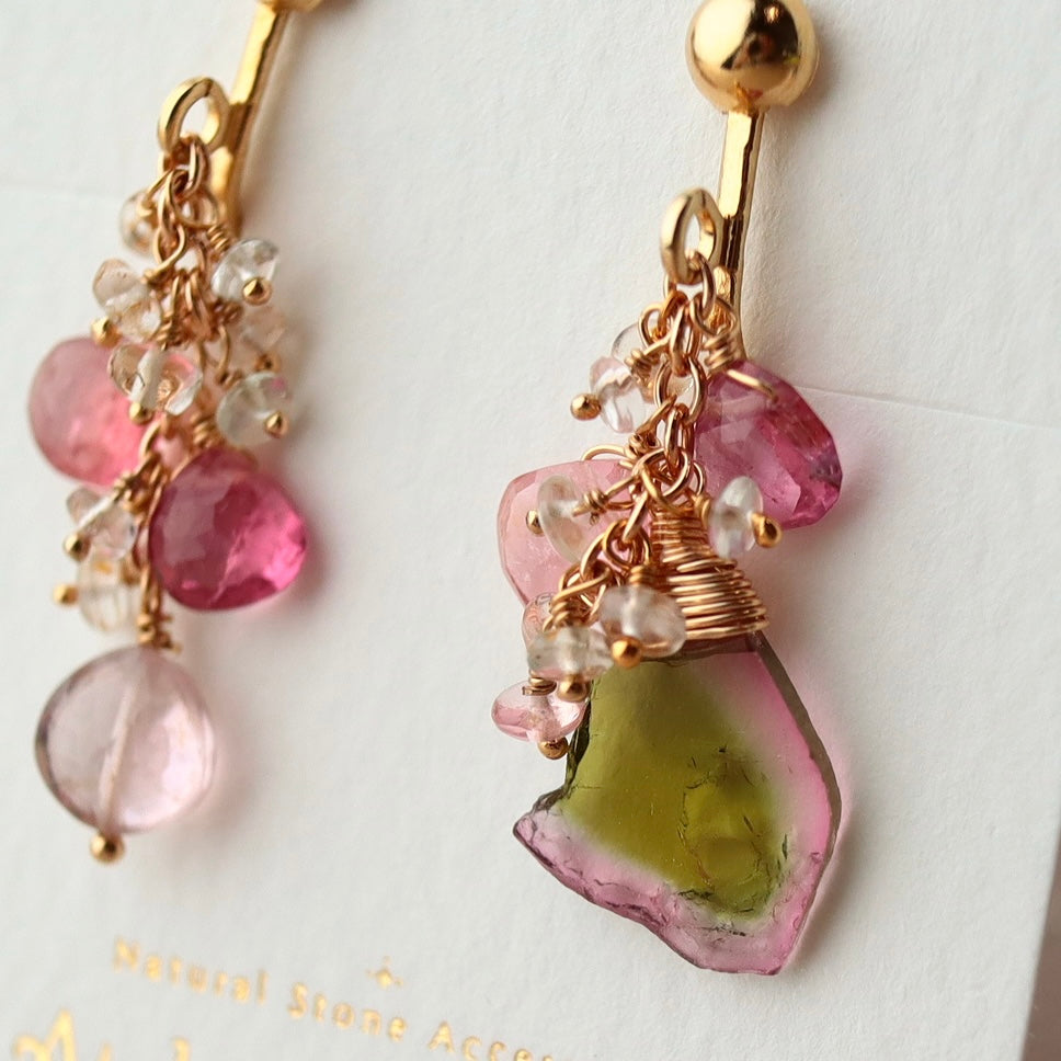 (1) Watermelon tourmaline earrings